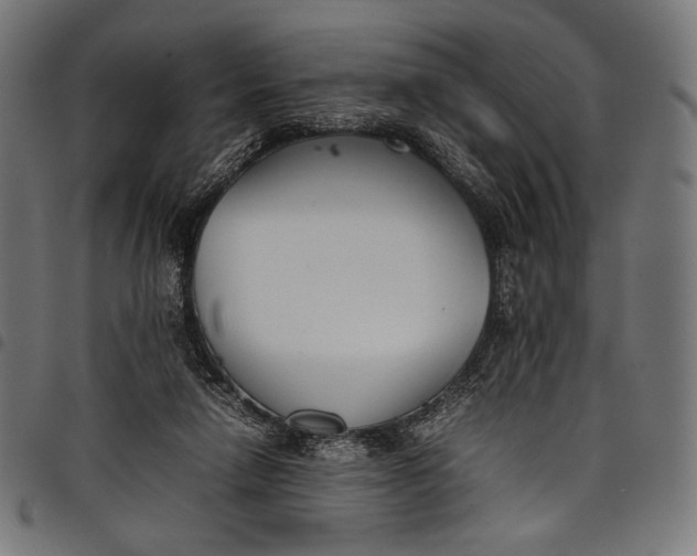 X0000097820258200803281127