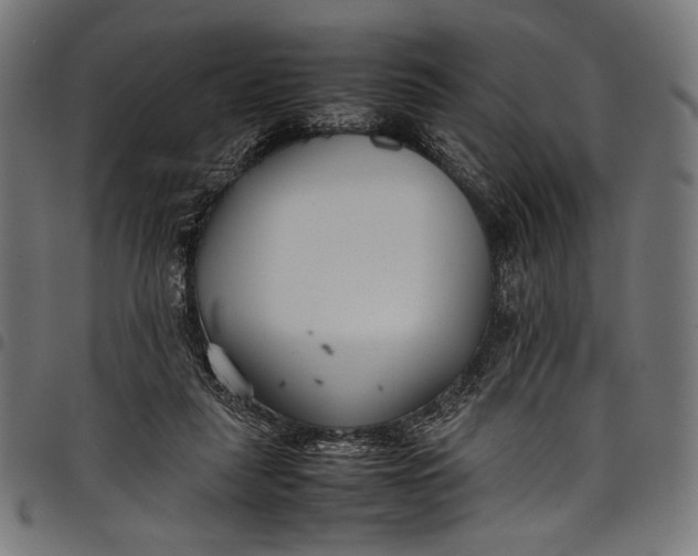 X0000097820259200803281127