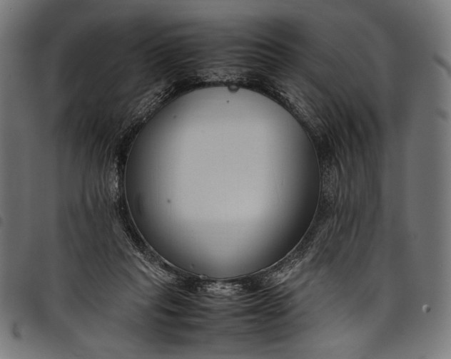 X0000097820261200803281127