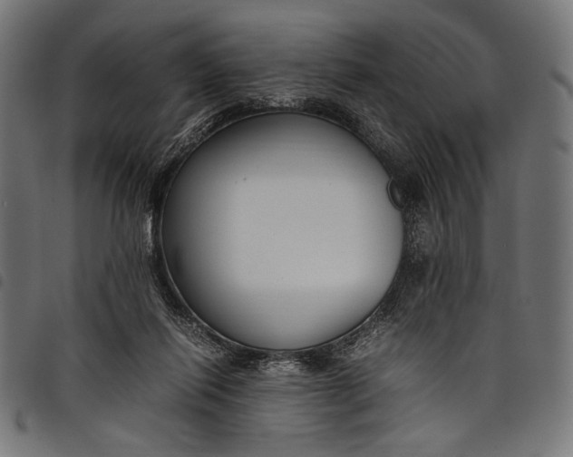 X0000097820262200803281127