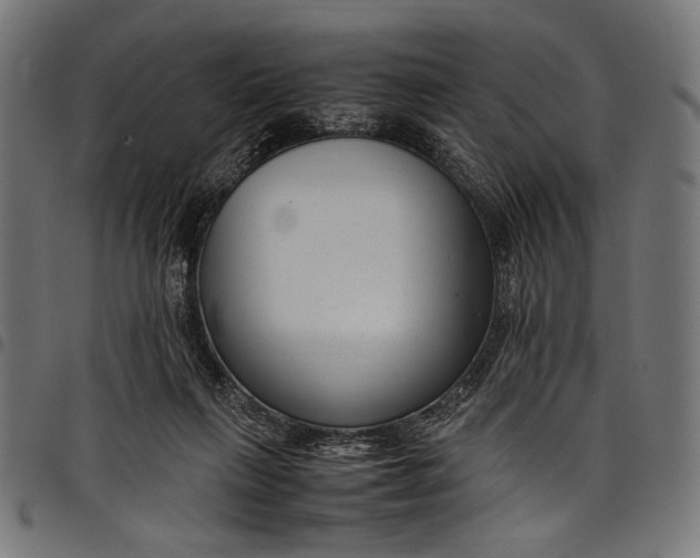 X0000097820263200803281127