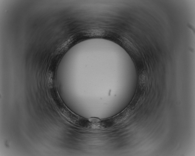 X0000097820264200803281127