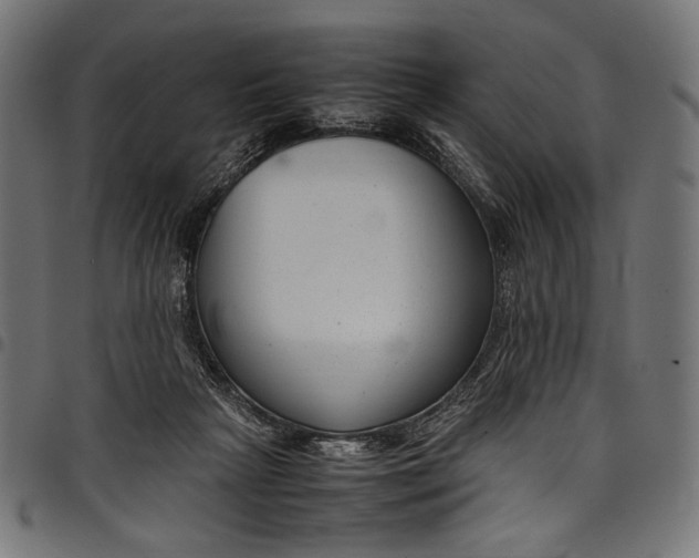 X0000097820265200803281127