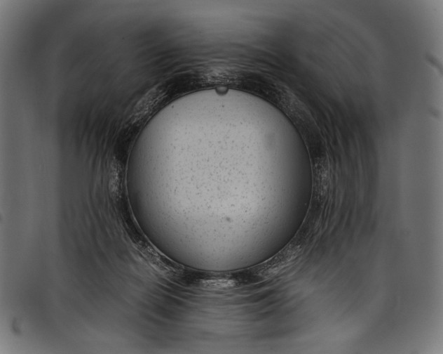 X0000097820266200803281127