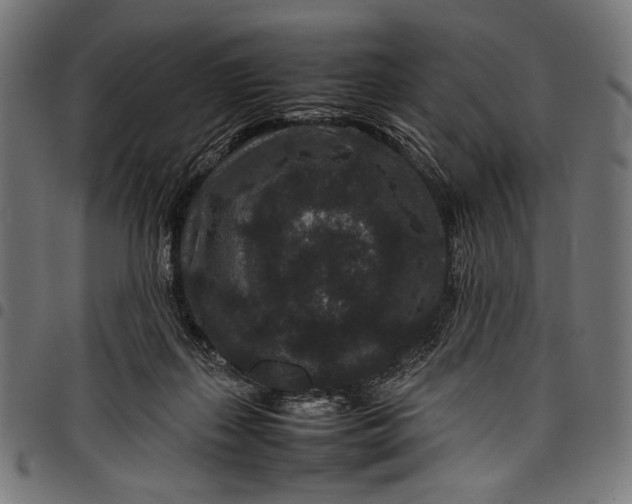 X0000097820267200803281128