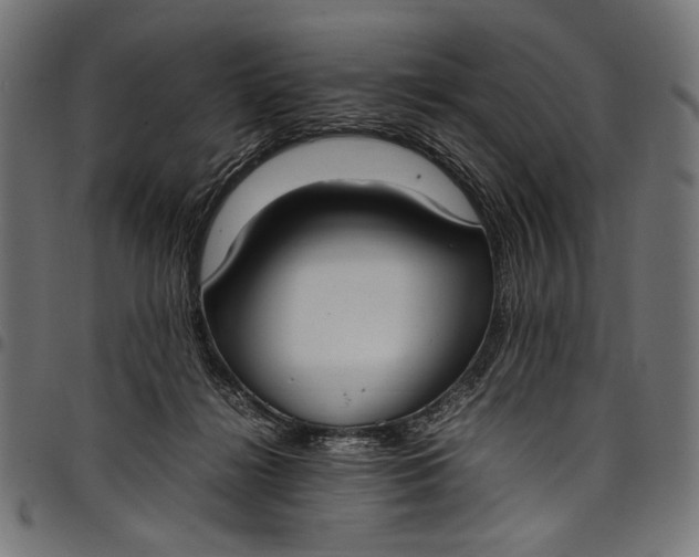 X0000097820268200803281128