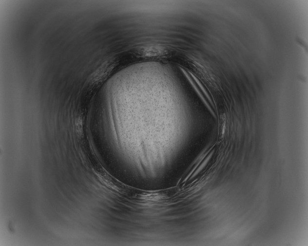 X0000097820269200803281128