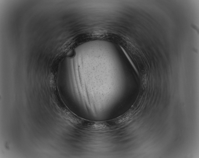 X0000097820270200803281128