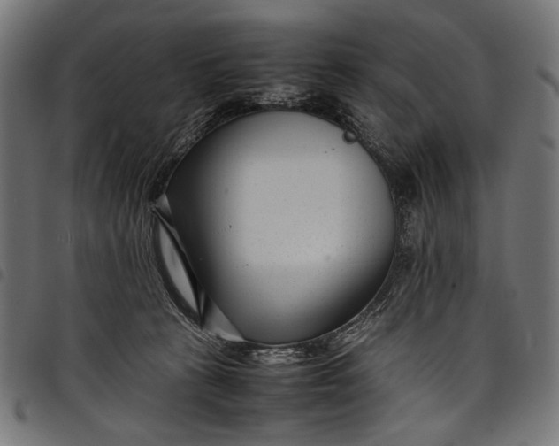 X0000097820273200803281128