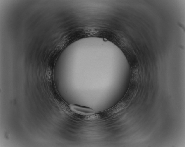 X0000097820274200803281128