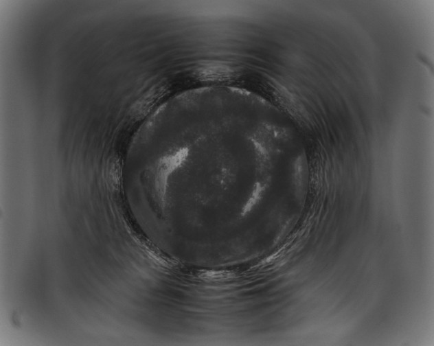 X0000097820277200803281128