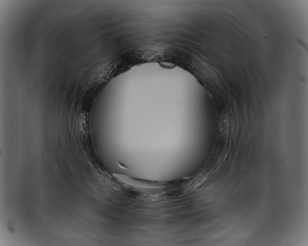 X0000097820280200803281128