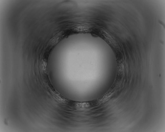 X0000097820281200803281128