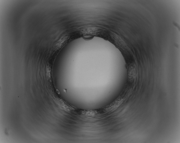 X0000097820282200803281128