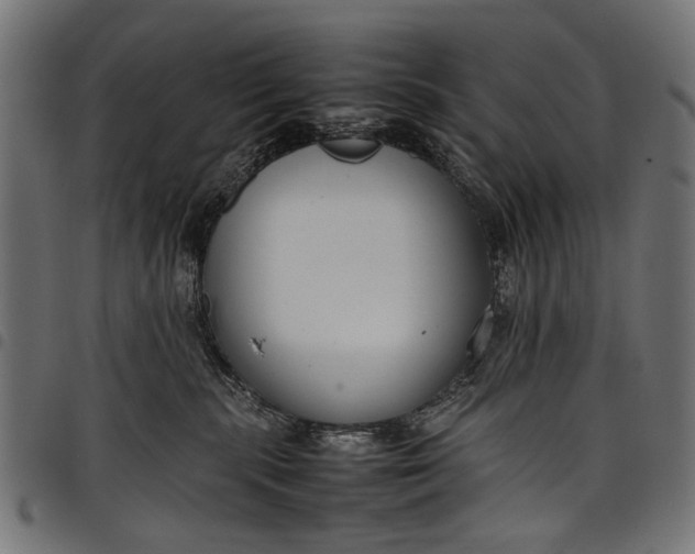 X0000097820283200803281128