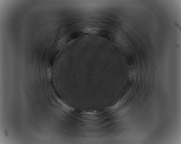 X0000097820285200803281128