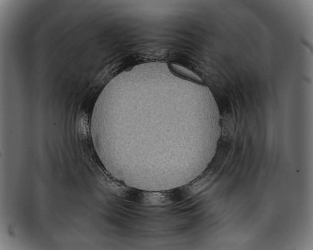 X0000097820287200803281128