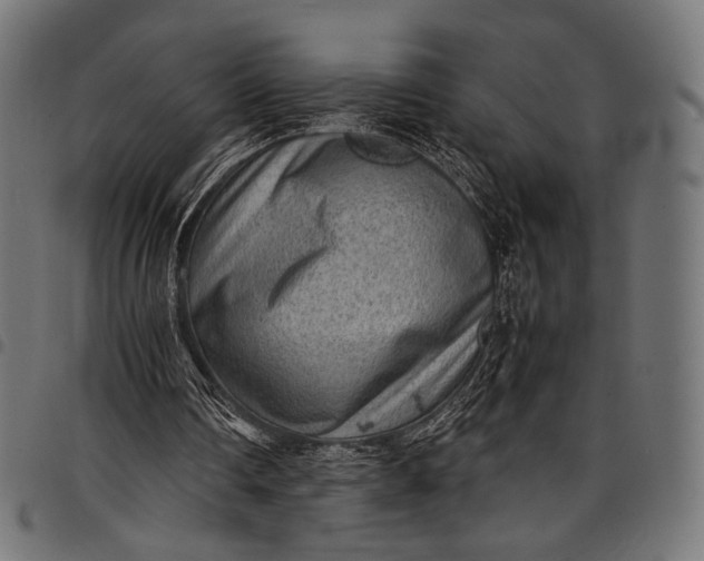 X0000097820290200803281127