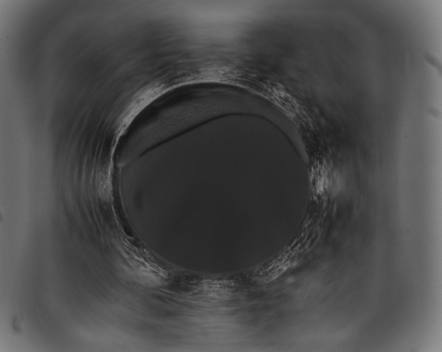 X0000097820292200803281127