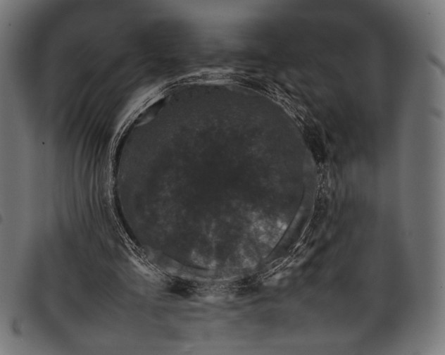 X0000097820293200803281127