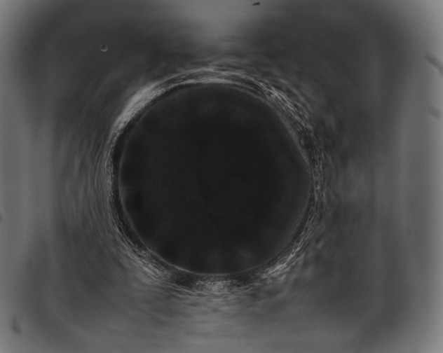 X0000097820295200803281127