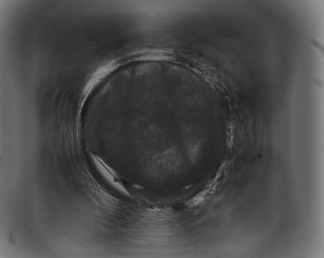 X0000097820296200803281127