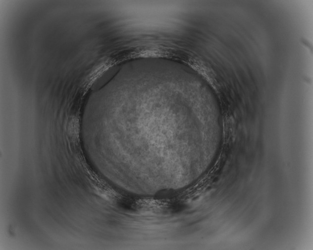 X0000097820297200803281127