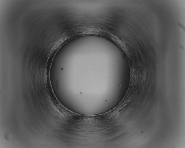 X0000097820298200803281127