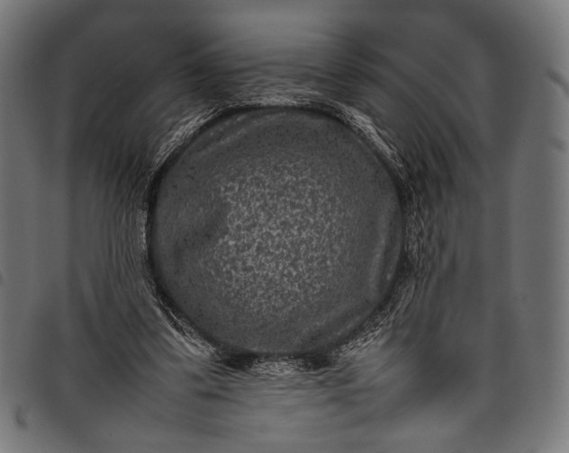 X0000097820299200803281127