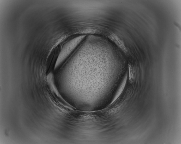 X0000097820300200803281127