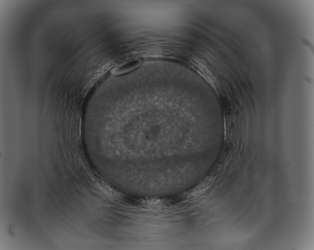 X0000097820301200803281127