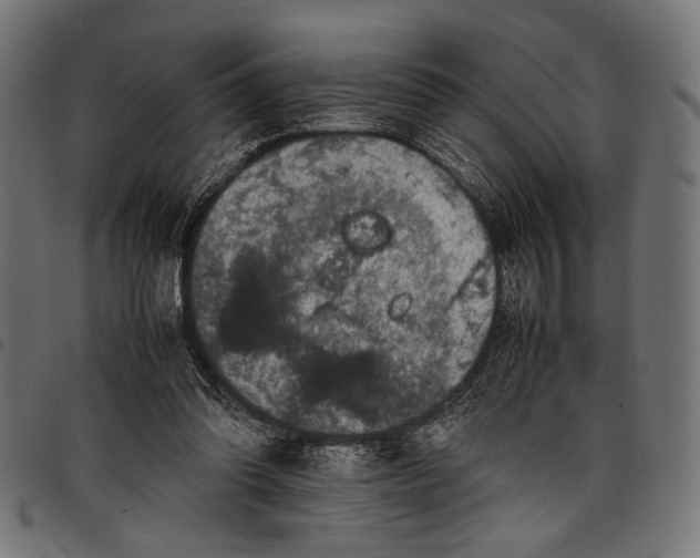 X0000097820302200803281127