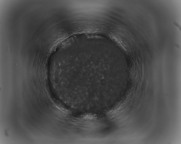 X0000097820303200803281127