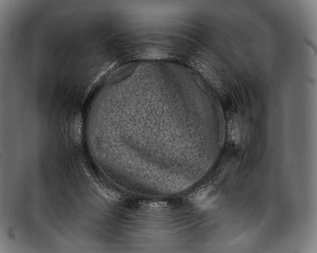 X0000097820304200803281127