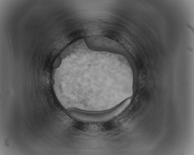 X0000097820305200803281127