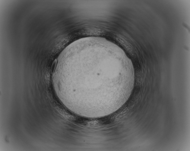 X0000097820309200803281127