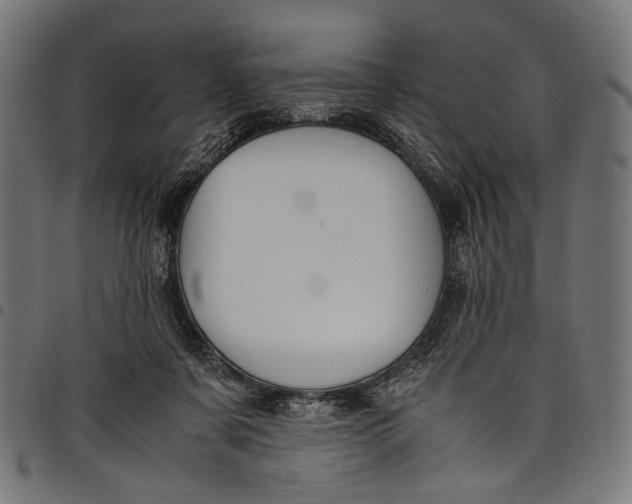 X0000097820311200803281127