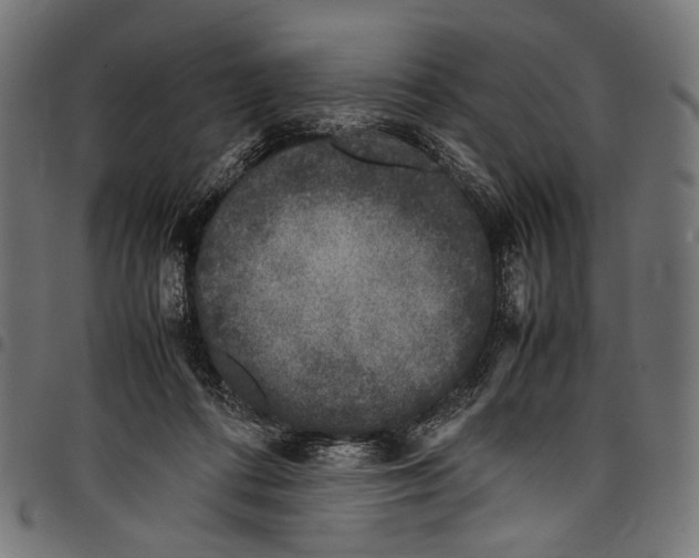 X0000097820312200803281127