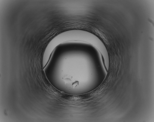 X0000097820313200803281127