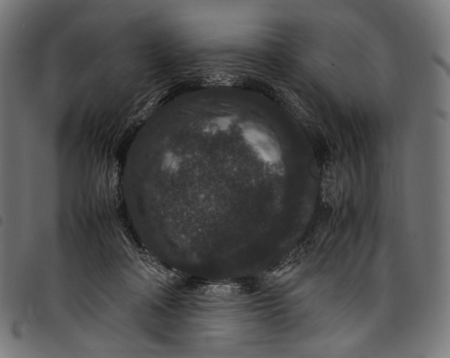 X0000097820314200803281127