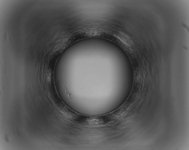 X0000097820315200803281127