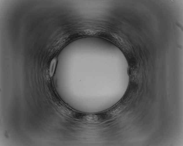 X0000097820317200803281127