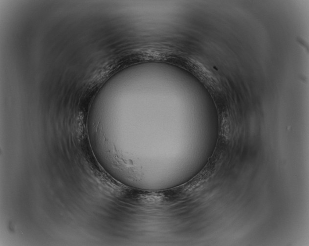 X0000097820318200803281127