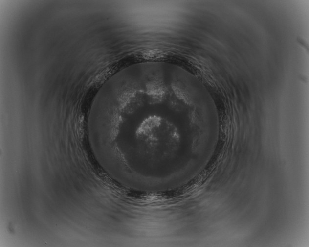 X0000097820319200803281127