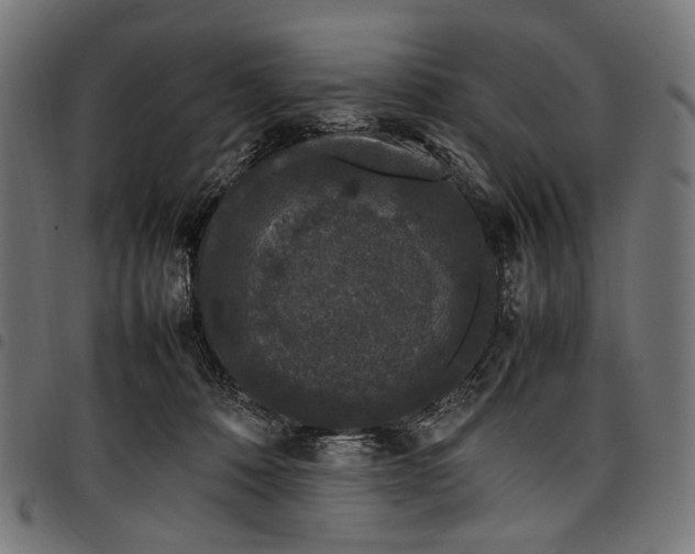 X0000097820320200803281127