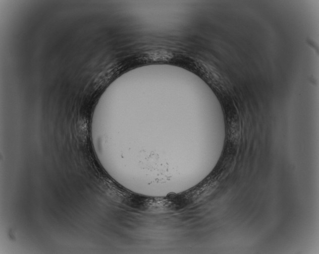 X0000097820321200803281127