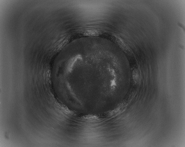 X0000097820322200803281127