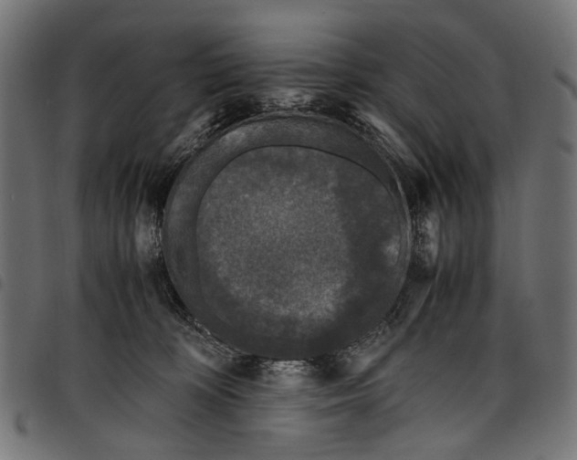 X0000097820324200803281127