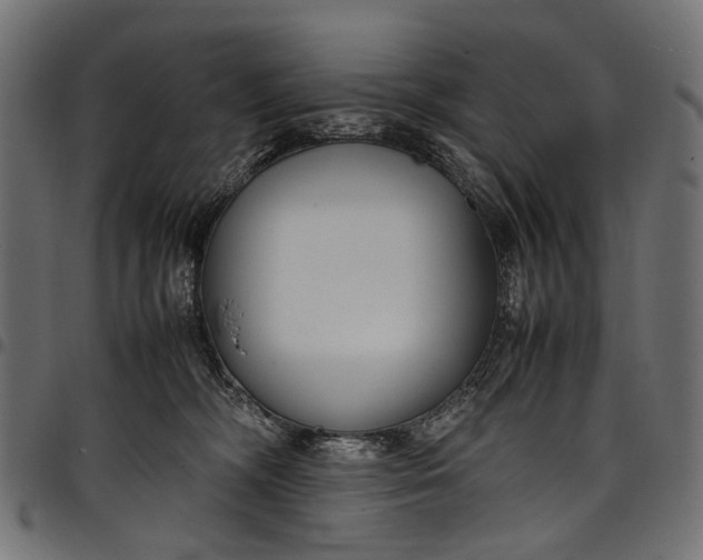 X0000097820326200803281127