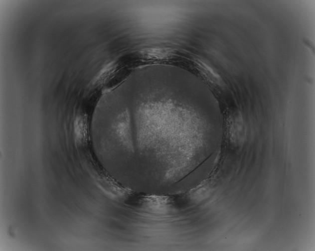 X0000097820328200803281127